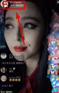 明星直播在哪看,精彩瞬間，盡在掌握——揭秘各大平臺觀看攻略
