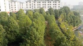 禿頭少女在線(xiàn)吃瓜,揭秘娛樂(lè)圈幕后故事