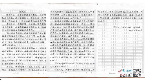 網(wǎng)紅效應(yīng)美與丑作文,美丑界限的模糊與反思