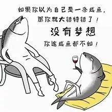 網(wǎng)紅咸魚(yú)搶閑置,一場(chǎng)閑置物品的狂歡盛宴