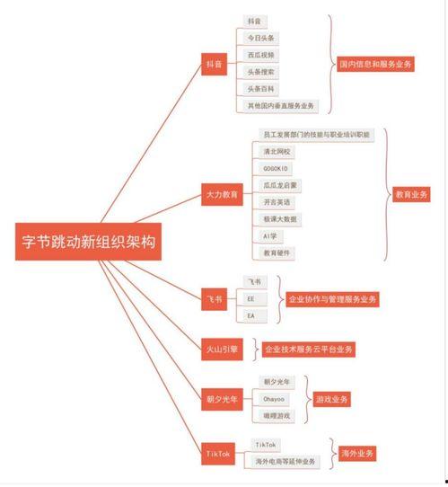 今日頭條業(yè)務線調整,打造多元化內容生態(tài)新格局