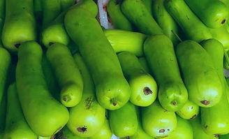 發(fā)燒了吃蒲瓜,發(fā)燒時的天然清涼良方